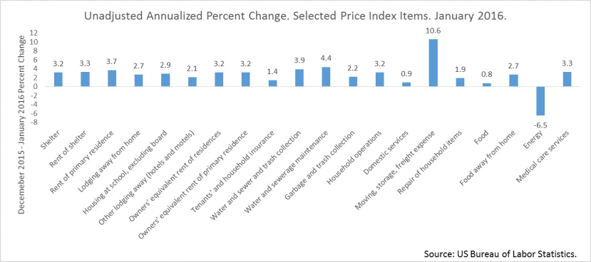 Shelter Price Index - January 2016.